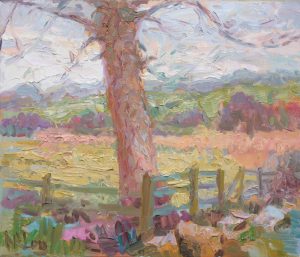 Tree Study, Anglesey